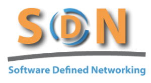 is_sdn_a_threat